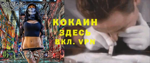 стафф Богданович